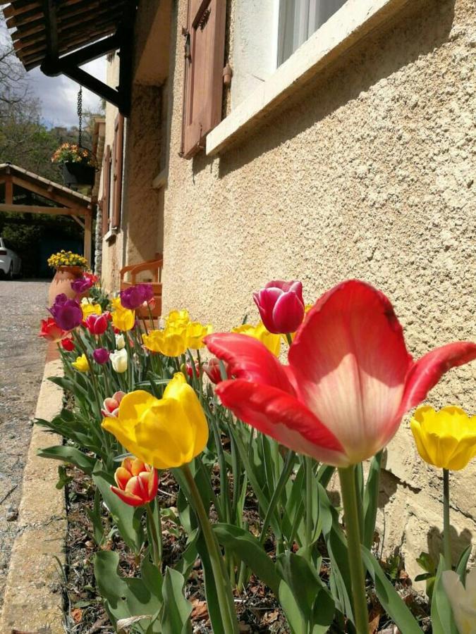 Maison 3 Etoiles Avec Jardin Pour Familles, Sportifs, Curistes... Digne-les-Bains ภายนอก รูปภาพ