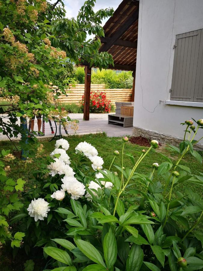 Maison 3 Etoiles Avec Jardin Pour Familles, Sportifs, Curistes... Digne-les-Bains ภายนอก รูปภาพ